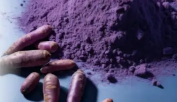 Purple Carrot Powder